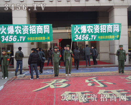 �Gɫ�ǻ��r(n��ng)�Y���̾W(w��ng)��꠵����c