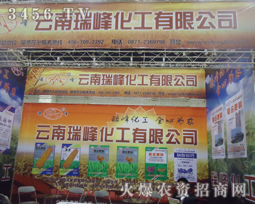 云南瑞峰化工有限公司