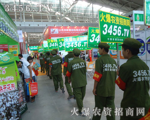 �](m��i)�������Ă�(g��)�ˣ�ֻ�������ĈF(tu��n)�(du��)