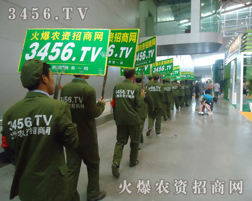 �����۵�ȫ���Ը��Ċ^������