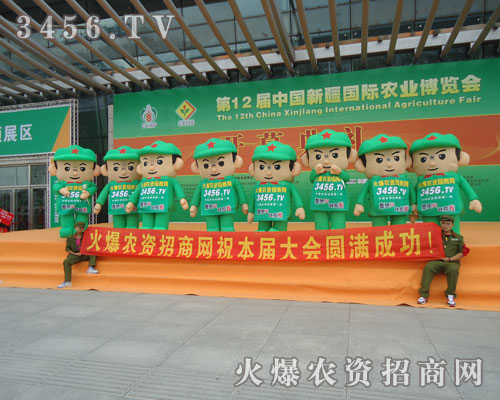 ����Ч���_����