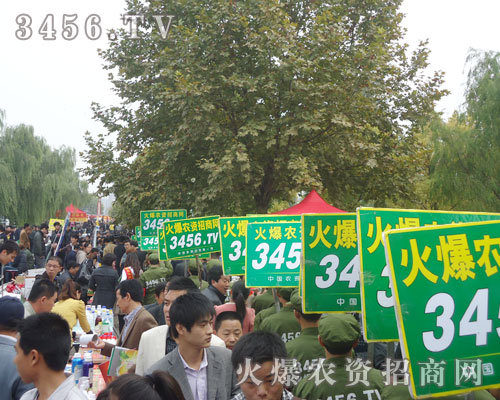 ���r(n��ng)�Y���̾W(w��ng)�ǰ�����