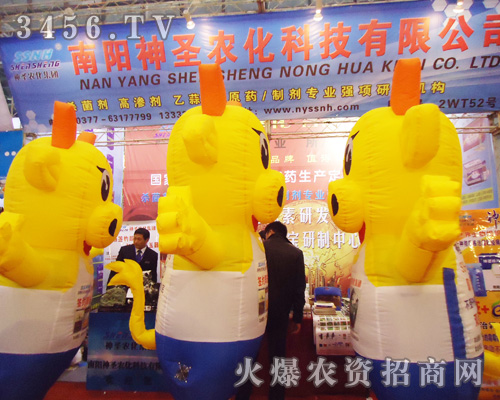 ���(y��ng)��ʥ�r(n��ng)��