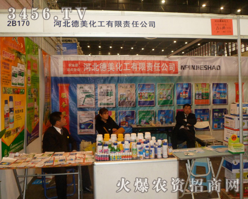 河北德美化工有限責任公司