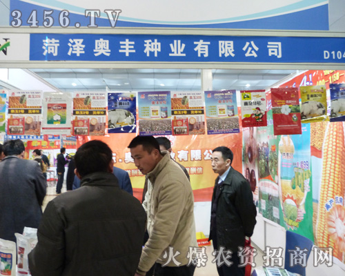 �ʝɊW�S�N�I(y��)