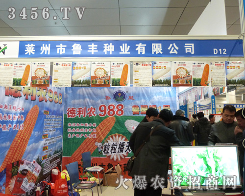 �R�����S�N�I(y��)�ںʝ��r(n��ng)�Y���µĮa(ch��n)Ʒչʾ