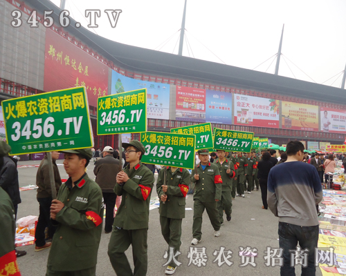 2013�����p������V��S�̎����������̙C(j��)��