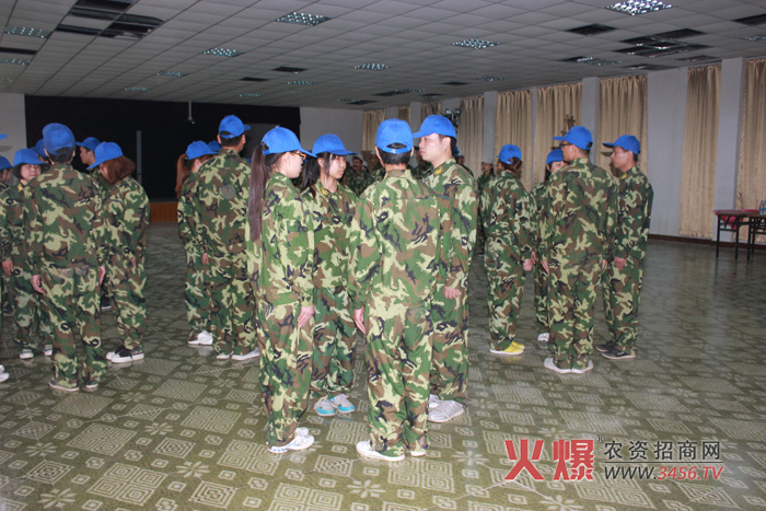 七巧板項目,我們來分組