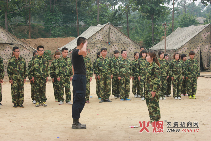 組建團(tuán)隊(duì)