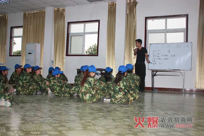 七巧板項目培訓