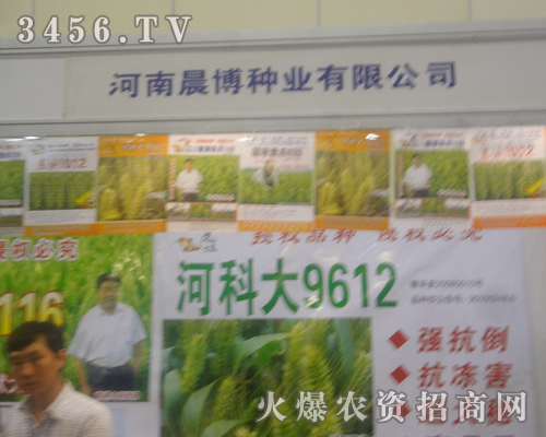 ���ϳ����N�I(y��)�ڷN�ӕ�(hu��)�L(f��ng)������