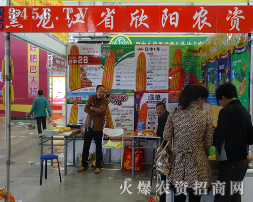 2013�L�����ϕ�������ʡ����r�Y���ˣ�