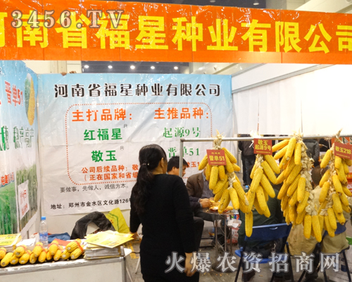 �＾�N�ӕ��ϸ��ǷN�I(y��)��â����