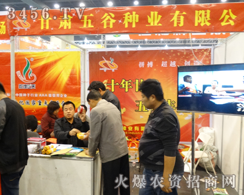甘肅五谷種業(yè)不負(fù)秋望,在2013河南種子會上滿載而歸