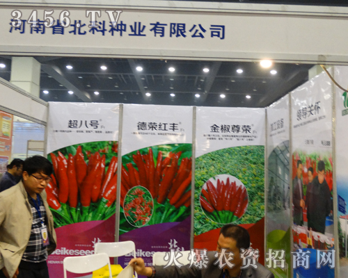 ����ʡ���ƷN�I(y��)�����ݷN�ӕ���Ŭ����������