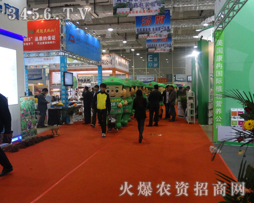 ��������ȫ���Ը�