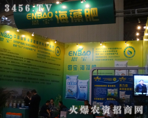 ɽ�|��������ʢ�b��ϯ2013�׏�(f��)�ʕ�(hu��)