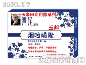 ���-�໨-���-������ó��݄�