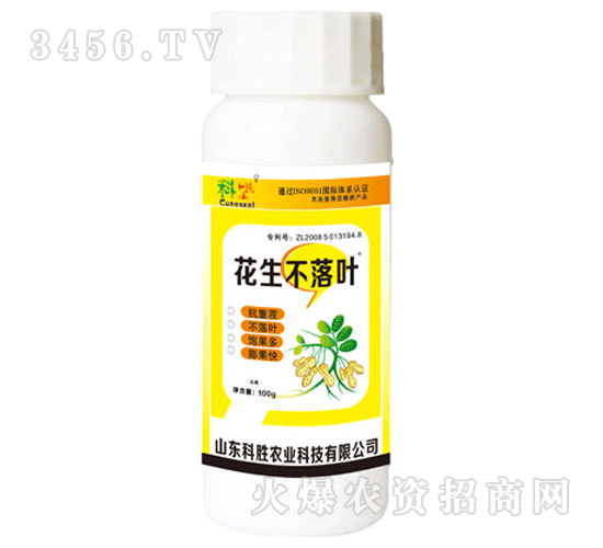 �Ƅ�-���������~