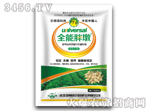 ���-ȫ���ֶ�-�������øߝ�s�I(y��ng)�B(y��ng)�{(di��o)�؄�