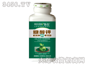 ����-�Ǵ�⛷���