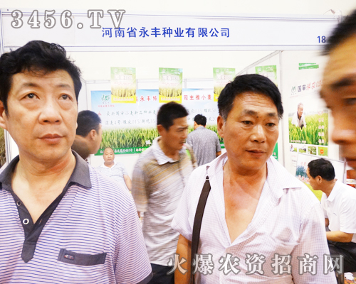 河南省永豐種在2014河南夏季種子會上堅持不懈