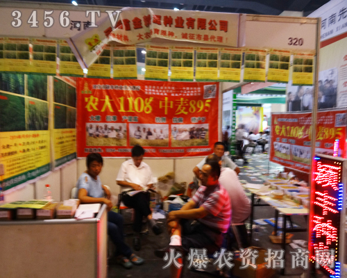 ���ϝ}�S�N�I(y��)�������ļ��N�ӕ�(hu��)������հׅ^(q��)������