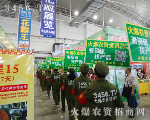 ���r(n��ng)�Y�W(w��ng)׌�����F(xi��n)ٍ�X�ĉ���