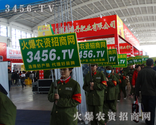 ��������Ч������