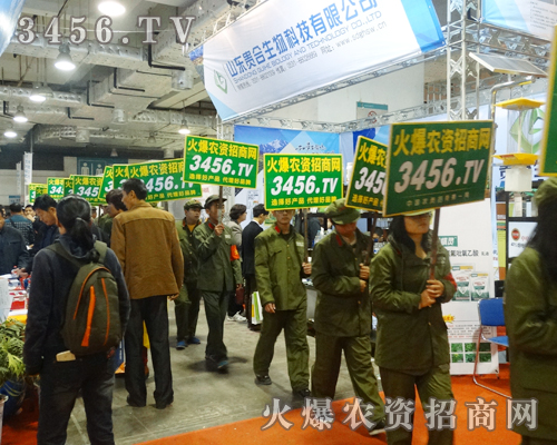 �Gɫ܊�b�ɞ鱊���P(gu��n)ע�Ľ��c