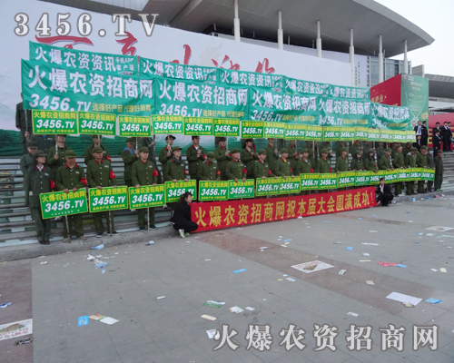 3456.TV׌�����