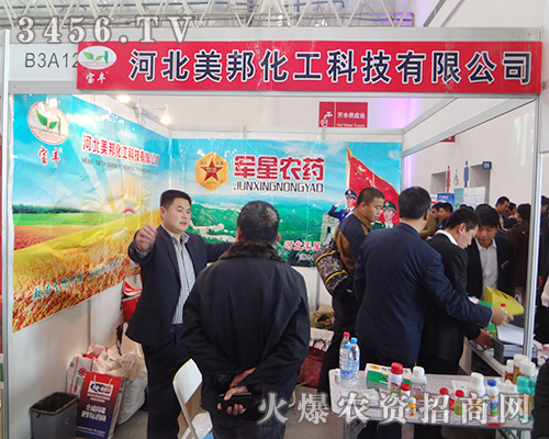 �ӱ������ȫ����ò��2014ֲ���p������