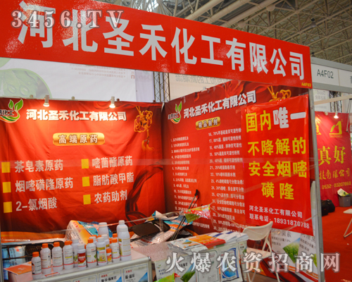 ʥ�̻�����ֲ����������