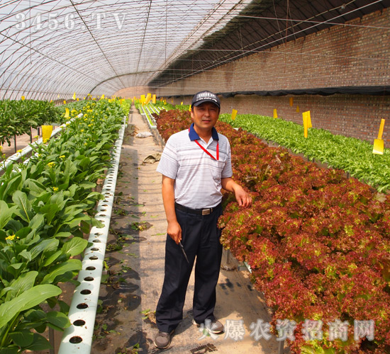 �����̝�(r��n)�S���Q(m��o)�l(f��)չ���޹�˾