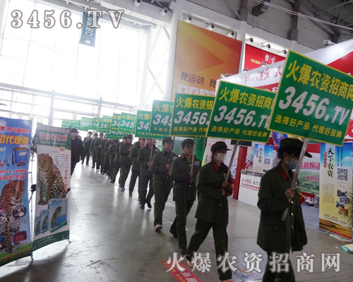 ��S���������Gɫ��(zh��n)ʿ�x�����o��؟(z��)�Σ�