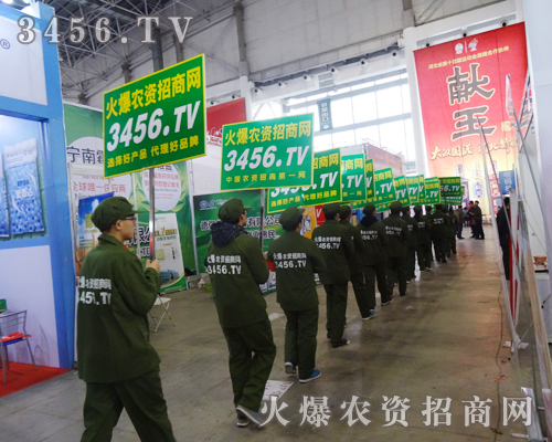 2015�ӱ�����ֲ���������L(f��ng)���ǾGɫ