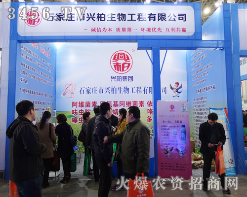 �d�����﹤����2015��ӱ�ֲ����߳���L��