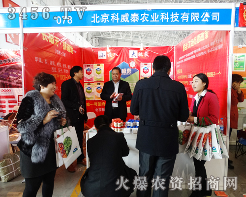 ��������̩��2015�ӱ�ֲ���p������������