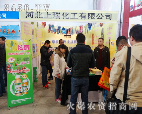 �ӱ����𻯹���2015����ֲ�����ϏV�ܲ�Ŀ