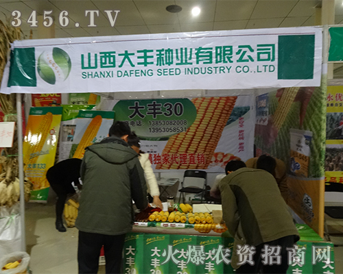 ɽ�����S�N�I(y��)�y����Ʒ�Ʈa(ch��n)Ʒ����2015�ʝ��r(n��ng)�Y��