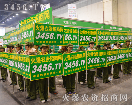 2015���ݷ��ϕ�(hu��)�����r(n��ng)�Y�W(w��ng)��չ���L(f��ng)��