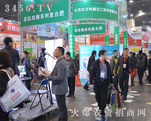 �t�հ���������2015���ݷ��ϕ��������