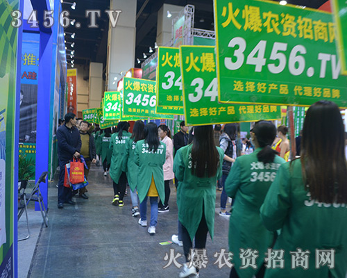 3456.TV���r(n��ng)�Y���̾W(w��ng)ף2016��ԭ���ϕ�(hu��)�A�M�ɹ���