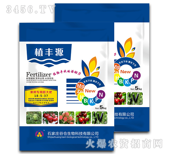 ���䌣������