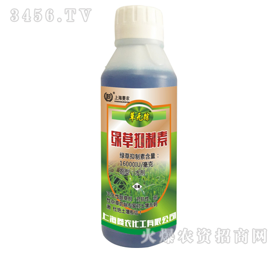 �Ϻ����r(n��ng)����:�G��������,�����Գ��݄��Ž^������Y(ji��)!