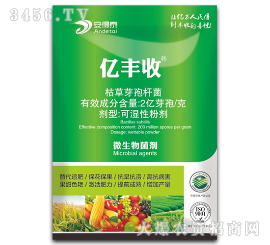 ����ꖰ���̩������ˎ��-�|�S���\�д���!