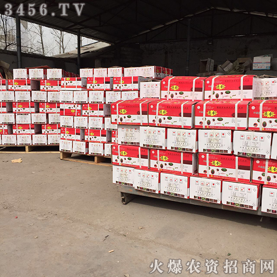 С��������̎�턩�����A(y��)����!�gӭ���Ͽ͑������ǰ��ǢՄ����