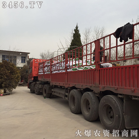 С��������̎�턩�����A(y��)����!�gӭ���Ͽ͑������ǰ��ǢՄ����