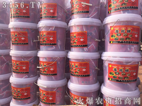 С��������̎�턩�����A(y��)����!�gӭ���Ͽ͑���늡�ǰ��ǢՄ����