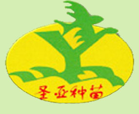 �۹���ʥ���N�����޹�˾